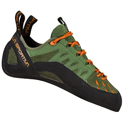 Abbildung von Tarantulace olive/tiger (719206) 40