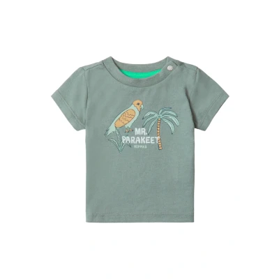 Abbildung von Noppies Benwood Tshirt print für Kinder, Größe: 74, Agave green