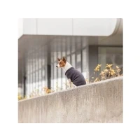 Abbildung von TRIXIE Hundepullover Hunde Pullover CityStyle Berlin anthrazit
