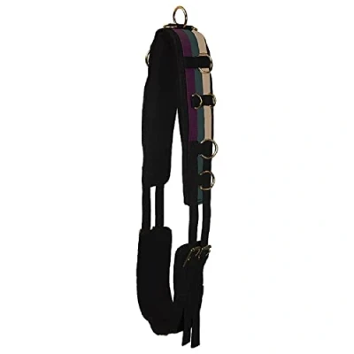 Abbildung von Imperial Riding Longiergurt Deluxe Nylon Forest Green Full