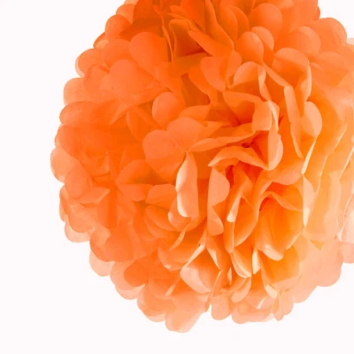 Abbildung von Pompom Orange pro Einheit