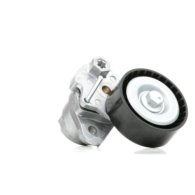 Abbildung von RIDEX 540T0035 Spannarm, Keilrippenriemen VOLKSWAGEN: Passat B8 Variant, Polo V Schrägheck, Tiguan I, SEAT: Ibiza 4 Sportcoupe