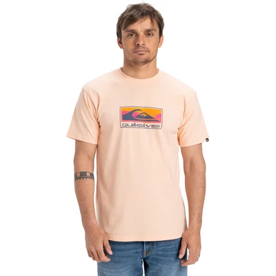 Abbildung von Quiksilver EV Gradient BOX Tshirt print, Herren, Größe: Large, Mef