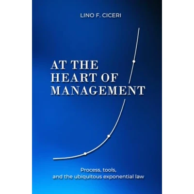 Abbildung von AT the HEART OF MANAGEMENT: Process, tools, and ubiquitous exponential law