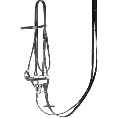Abbildung von Harry&#039;s Horse Niedriges Nasenband aus Zaumbronze Cob Schwarz