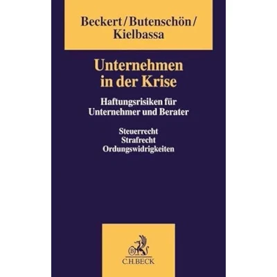 Abbildung von Unternehmen in der Krise: Pflichten, Risiken und Handlungsmöglichkeiten für Unternehmer Berater
