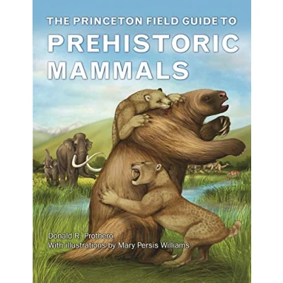 Abbildung von Princeton Field Guide to Prehistoric Mammals (Princeton Guides)