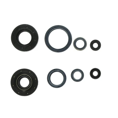 Abbildung von Motordichtungen, komplett ATHENA P400220400251