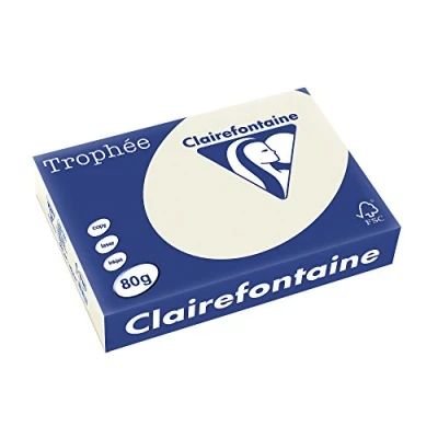 Abbildung von 5 x Clairefontaine Kopierpapier Trophee A4 80g/qm VE=500 Blatt perlgra