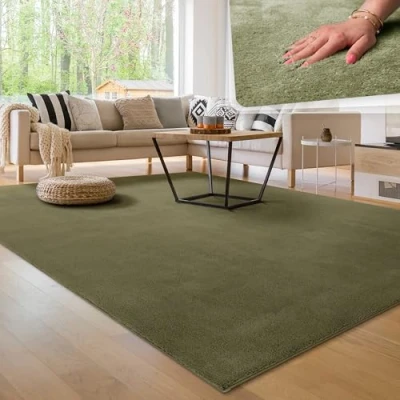 Abbildung von Paco Home Moderner Kuscheliger Wohnzimmer Teppich Kurzflor waschbar flauschig Weich Einfarbig Felloptik zeitlos stilvoll rutschfest pflegeleicht, Grösse:120 cm Rund, Farbe:Hellgrün