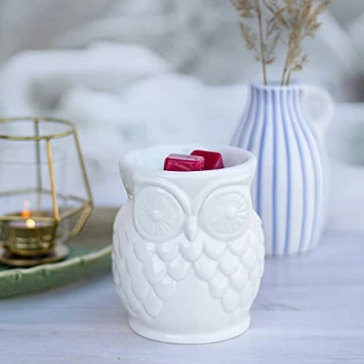 Abbildung von Candle Brothers Teelicht Duftlampe Eule Aromalampe für Duftwachs Raumduft mit Keramik Weiß Lampe Büro, Schlafzimmer, Yoga