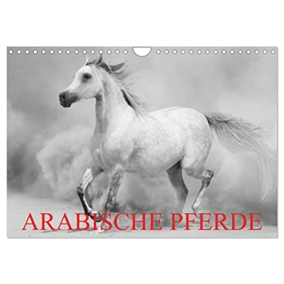 Abbildung von Arabische Pferde (Wandkalender 2025 DIN A4 quer), CALVENDO Monatskalender