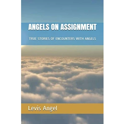 Abbildung von ANGELS ON ASSIGNMENT: TRUE STORIES OF ENCOUNTERS WITH