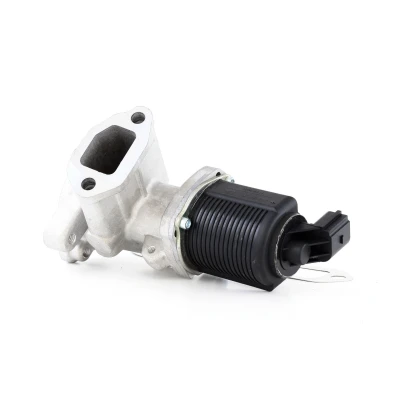 Abbildung von RIDEX 1145E0024 AGR Ventil elektrisch Magnetventil mit Dichtung OPEL: Corsa C Schrägheck, Combo Tour, Kasten / Kombi, FIAT: Qubo