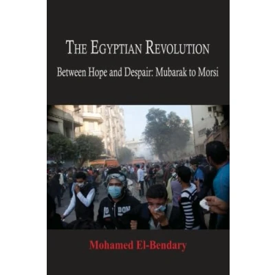 Abbildung von The Egyptian Revolution: Between Hope and Despair: Mubarak to Morsi
