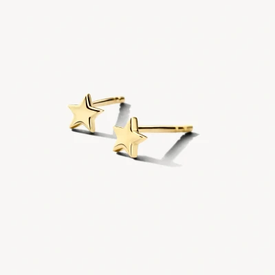 Abbildung von Blush 7247YGO Damen Ohrstecker Gold 585 Ohrringe Stern