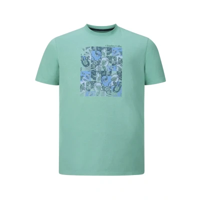 Abbildung von Charles Colby EARL Chalmers Tshirt print, Herren, Größe: XXL, Grün