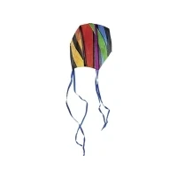 Abbildung von Günther Flugspiele En line Drage Fantasy Sled kite Vind Strength Fitness 3 6 bft