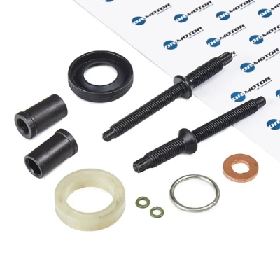 Abbildung von DR.MOTOR AUTOMOTIVE DRM040L Dichtungssatz, Einspritzdüse mit Schraube FORD: Focus 2 Kombi, Schrägheck, FIESTA 6 Van, CITROËN: C5 II Kombi