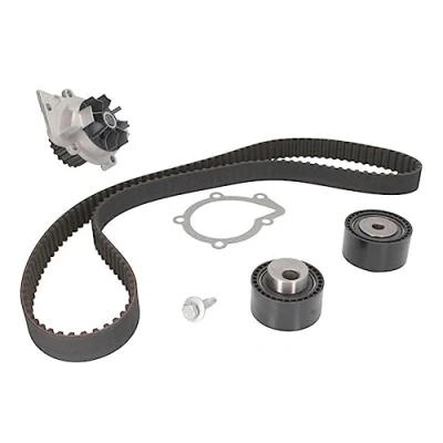 Abbildung von GATES PowerGrip Kit + Wasserpumpe KP15524XS