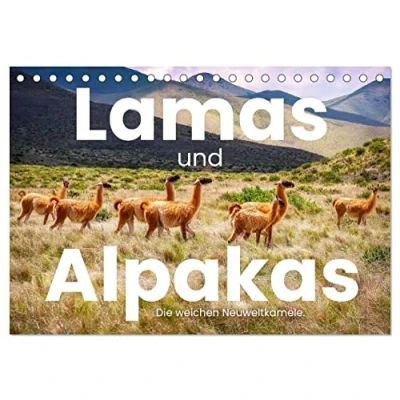 Abbildung von Lamas und Alpakas Die weichen Neuweltkamele. (Tischkalender 2025 DIN A5 quer), CALVENDO Monatskalender