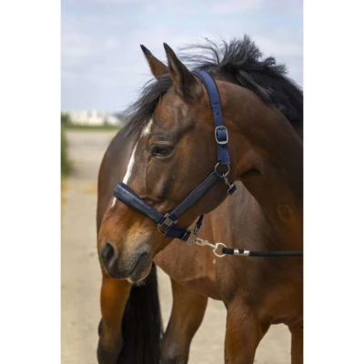 Abbildung von EQUITHÈME Halfter Strass Nylon Navy Pony