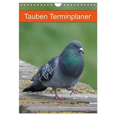 Abbildung von Tauben Terminplaner (Wandkalender 2025 DIN A4 hoch), CALVENDO Monatskalender