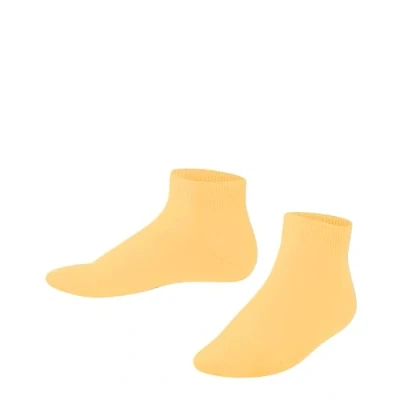 Abbildung von FALKE Sneakersocken Family mit nachhaltiger Baumwolle