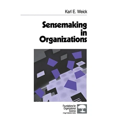 Abbildung von Sensemaking in Organizations (Foundations for Organizational Science)