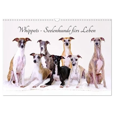 Abbildung von Whippets Seelenhunde fürs Leben (Wandkalender 2025 DIN A3 quer), CALVENDO Monatskalender