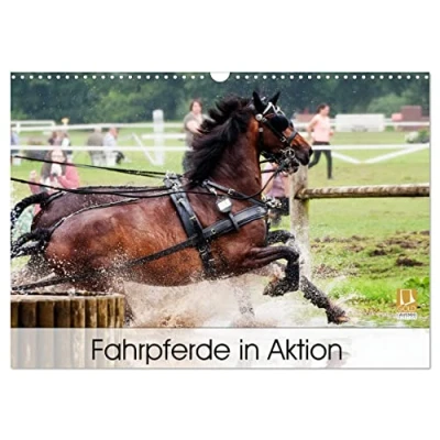 Abbildung von Fahrpferde in Aktion (Wandkalender 2025 DIN A3 quer), CALVENDO Monatskalender