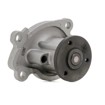 Abbildung von INA 538 0383 10 Wasserpumpe mit Dichtung RENAULT: MEGANE CC, SCENIC 3, 3 Grandtour, NISSAN: MICRA 4, Qashqai / Qashqai+2 I, 2