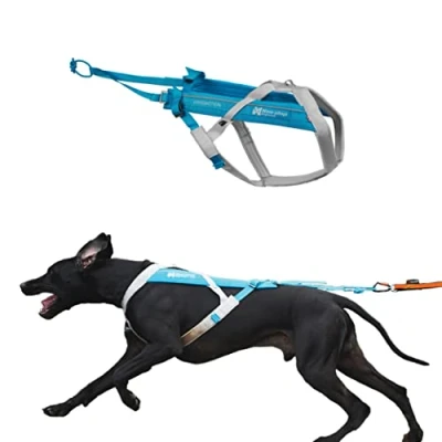 Abbildung von Non stop dogwear FREEMOTION Harness 5.0 111 Blue/Grey Hunde Geschirr für alle Sportarten, Größe:7