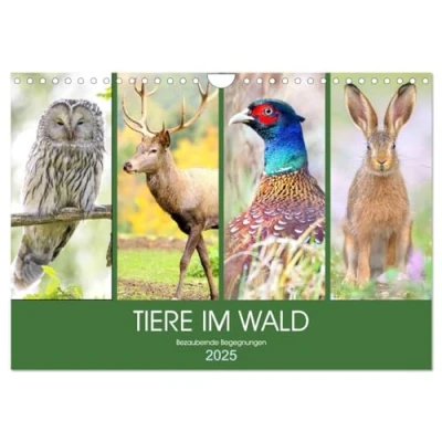 Abbildung von Tiere im Wald. Bezaubernde Begegnungen (Wandkalender 2025 DIN A4 quer), CALVENDO Monatskalender