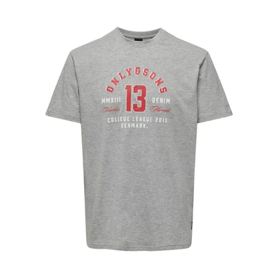 Abbildung von ONLY &amp; SONS Rundhalsshirt &quot;ONSLENNY LIFE REG VINTAGE PRINT TEE NOOS&quot;