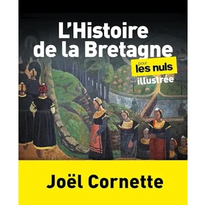 Abbildung von L Histoire de la Bretagne illustrée pour les Nuls