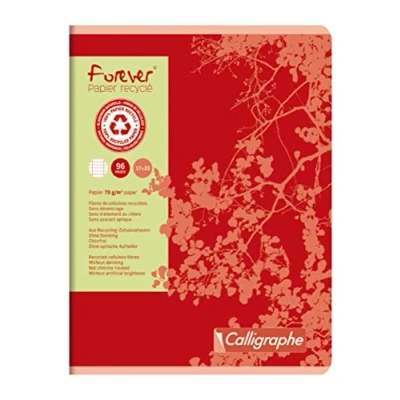 Abbildung von Clairefontaine 17103C Packung mit 10 Heften Forever Calligraphe 17x22 cm, 48 Blatt, französische Lineatur, Recyling Papier 70g, sortierte Farben, 1 Pack