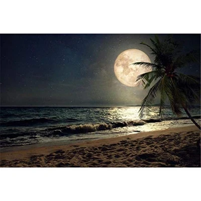 Abbildung von Klassische Puzzles 5000 Teile, Strand bei Nacht Puzzle, Puzzle Kreative, Impossible Pädagogisches, Farbenfrohes für Erwachsene Kinder 61.61x41.53 Zoll (156.5 x 105.5cm)