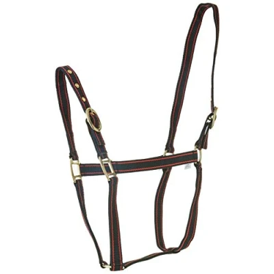 Abbildung von Rhinegold Schwarz/Rot Nylon Halfter X Full, Kaltblut/Warmblut extragroß