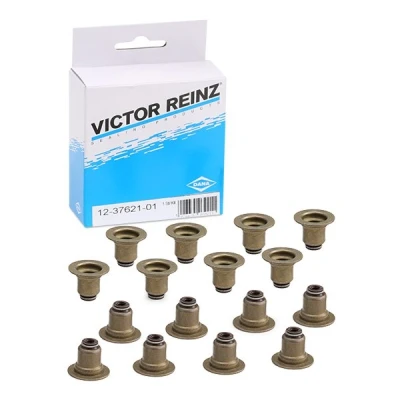 Abbildung von REINZ 12 37621 01 Dichtungssatz, Ventilschaft FPM (Fluor Kautschuk) PEUGEOT: 308 I Schrägheck, 208 RCZ Coupe kfzteile, kfzteile24,