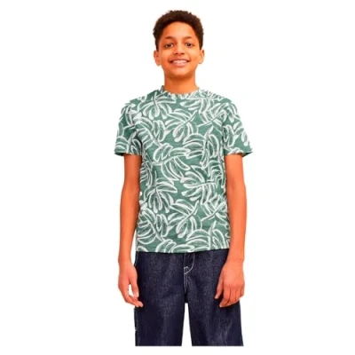 Abbildung von Jack &amp; Jones Junior Jorlafayette CREW NECK Tshirt print für Kinder, Größe: 164, Laurel wreath