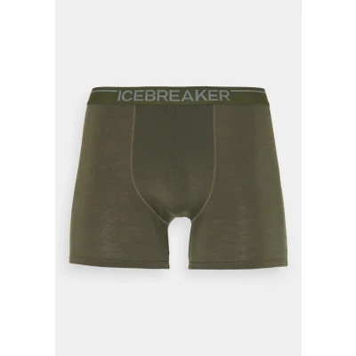 Abbildung von Icebreaker Anatomica Panties, Herren, Größe: Medium, Loden