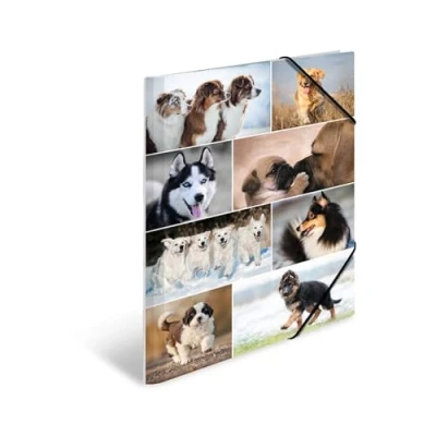 Abbildung von HERMA Organisationsmappe Sammelmappe DIN A3 Karton Tiere Hunde