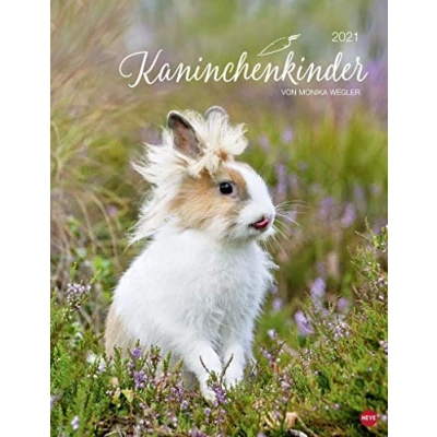Abbildung von Kaninchenkinder Posterkalender von Monika Wegler niedlicher Wandkalender 2021 mit vielen Fotos und lustigen Mini Geschichten Monatskalendarium Format 34 x 44 cm