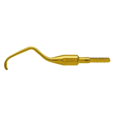 Abbildung von American Eagle XP Gracey Quik Tip Anterior, 4
