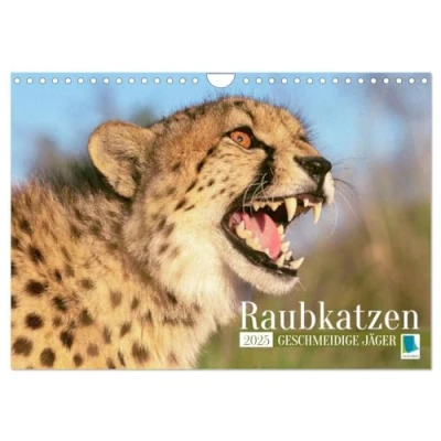 Abbildung von Raubkatzen: Geschmeidige Jäger (Wandkalender 2025 DIN A4 quer), CALVENDO Monatskalender