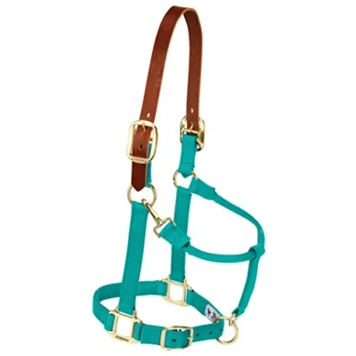 Abbildung von Weaver verstellbares Halfter für Kinn und Hals, Leder, n/a, smaragdgrün, Large Horse