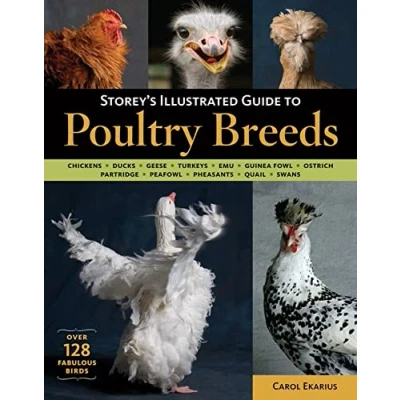 Abbildung von Storey&#039;s Illustrated Guide to Poultry Breeds: Chickens, Ducks, Geese, Turkeys, Emus, Guinea Fowl, Ostriches, Partridges, Peafowl, Pheasants, Quails, Swans