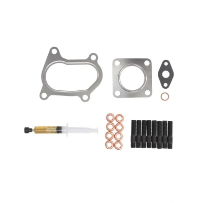 Abbildung von AJUSA JTC11446 Montagesatz, Lader with studs, syringe oil mit Dichtungen Montageanleitung HYUNDAI: Terracan