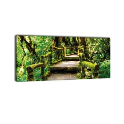 Abbildung von wandmotiv24 Leinwandbild Panorama Nr. 394 Treppe im Urwald 100x40cm, Keilrahmenbild, Bild auf Leinwand, Dschungel Bäume Wald